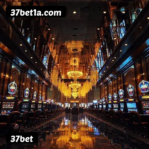 Termos e Condições Transparentes 37bet